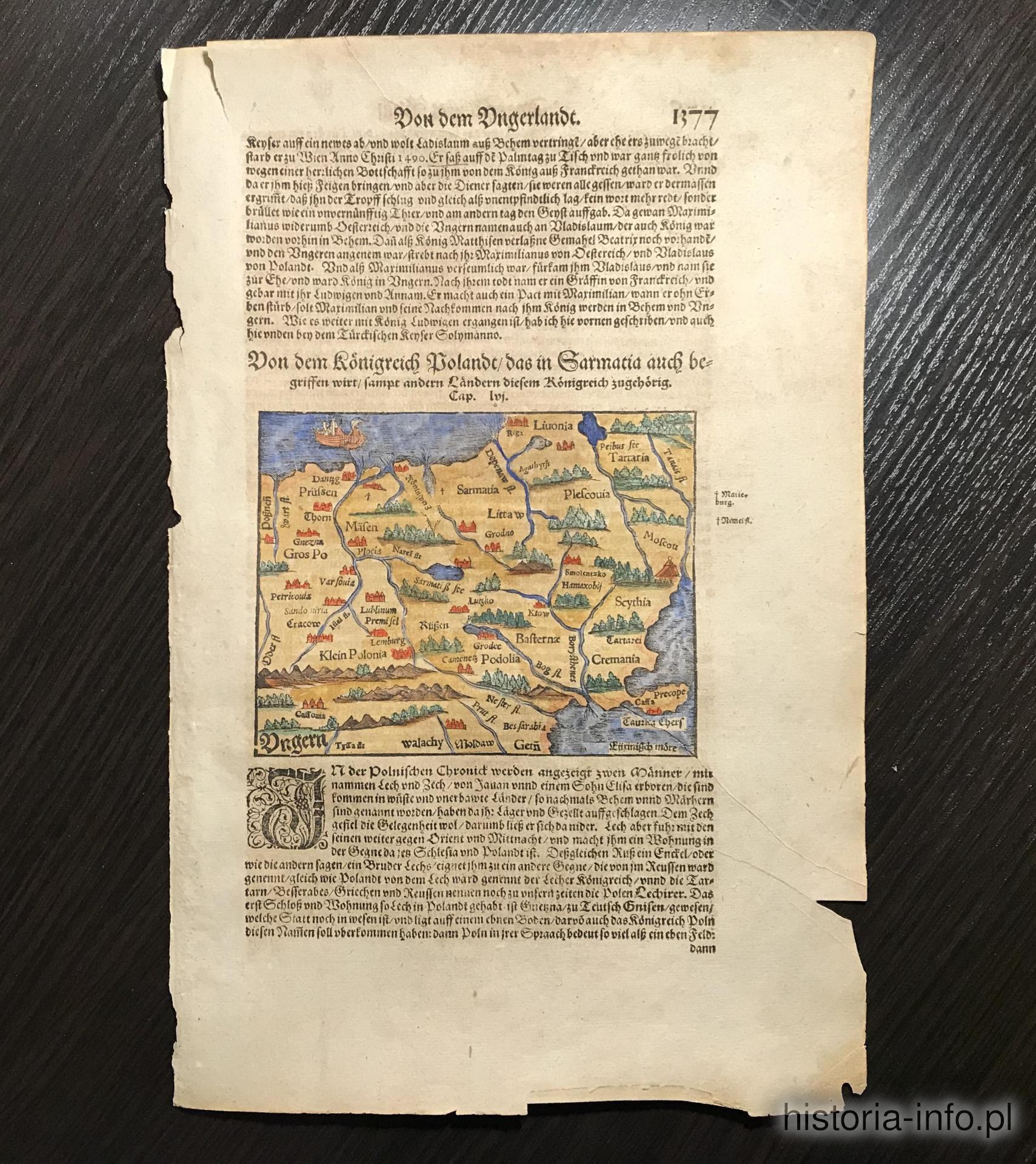 Kr&oacute;lestwo Polskie, M&uuml;nster, 1550 r. / 1